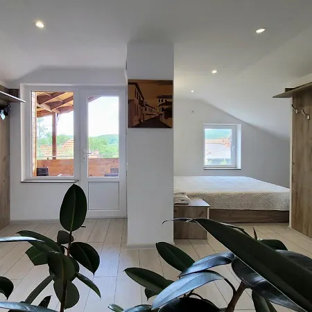 виктория Къща за гости 3*