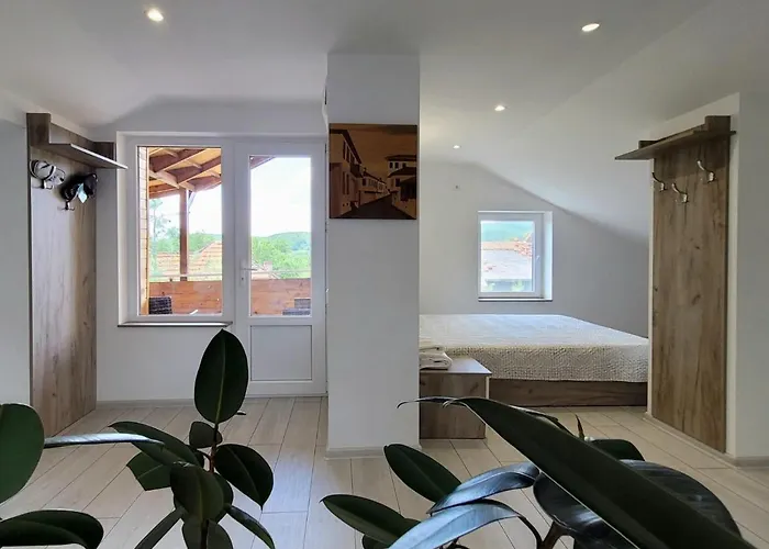 виктория Pensiune 3*