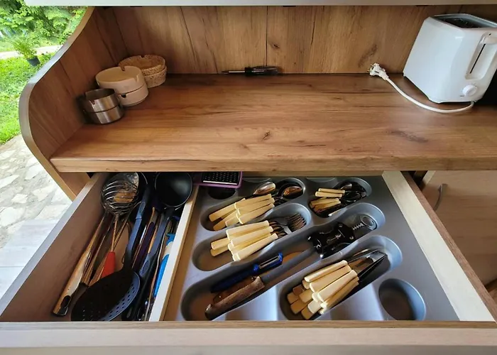 виктория Chehlare